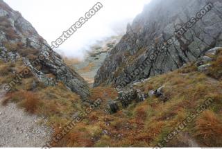 Photo Reference of Background